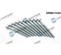 10x Bullone, Supporto iniettore Torx interno DRM01143S Dr.Motor Automotive