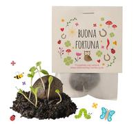 10x "Buona Fortuna" bombe di semi - regalino portafortuna & piccolo omaggio - bombe di fiori come pensierino per colleghi, ospiti & bambini - semi di fiori & sfere di fiori come dono speciale