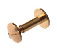 10X Chiodo A Vite In Ottone Massiccio Con Retro In Pelle Rivetto Cintura