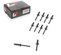 10X Clip Di Fissaggio Per Ford Jeep RAM DODGE CHRYSLER