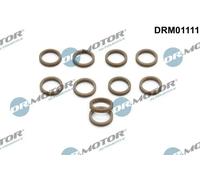 10x Kit riparazione impianto climatizzazione DRM01111 Dr.Motor Automotive