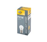 10 Lampadine Indicatore Anteriore e Posteriore Alogeno HELLA per Mercedes Vario