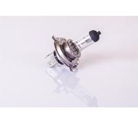 10X LAMPADINE LKW 24V H4 75/70W 24VOLT