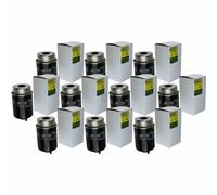 10X MANN-FILTER Filtro Carburante WK 8131