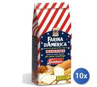 10x Multipack Farina Spadoni D'America Kg 1 Manitoba