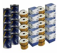 10X Original MAHLE / KNECHT Filtro Olio OX 149D + 10X SCT Flush Motore