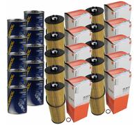 10X Original MAHLE / KNECHT Filtro Olio OX 164D + 10X SCT Flush Motore