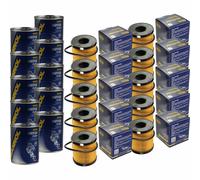 10X Original SCT Filtro Olio SH 4035 P + 10X SCT Flush Motore