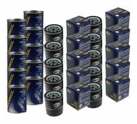 10X Original SCT Filtro Olio SM 113 + Flush Motore
