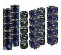 10X Original SCT Filtro Olio SM 118 + Flush Motore