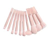 10x Professionale Viaggio Set di Pennelli Cosmetici Set di Pennelli Trucco Con Sacchetto di Immagazzinaggio Pennello Polvere