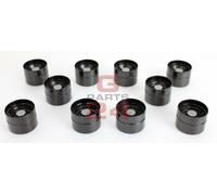 10x Punterie Idrauliche VW Touareg & VW Transporter T5 2.5 TDI anno di cost.