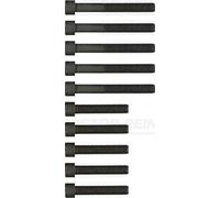 REINZ Kit bulloni testata