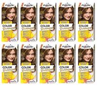 10x Schwarzkopf Palette Color Shampoo Colore Capelli 6-0 (231) Marrone Chiaro