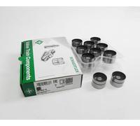 10x Sollevatori Idraulici Leggero INA per Audi VW 5 Cilindro 10V VR5