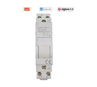 10X Tuya Life ZigBee Circuit Breaker Din Rail 1P Single Pole Dry Contact Timer Relè App Telecomando Timer