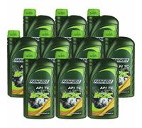 10X1 Litro FANFARO M-2T API TC JASO FB ISO L-EGB Olio Motore Minerale