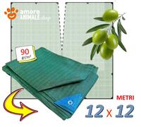 10x10 m RETE RACCOLTA OLIVE con APERTURA → 90 gr/m² Telo ANTISPINA CON OCCHIELLI