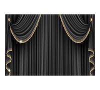 10x8ft Theater Stage Backdrop Black Gold Curtains Photography Backdrop Wedding Birthday Holiday Celebration Portrait Decor Background Carnival Party Drama Performance Photographic Studio Prop(10x6.5')