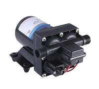 11.3 Litri Micro DC Elettrico 12V/24V Riscaldatore Di Acqua Doccia Booster Autolavaggio Pompa A Membrana Aspirazione Traffico Elevato(F42-101-055-2010 (24V))