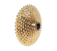 11-42 Cassetta a 10 velocità per SRAM X.X / oro 525g