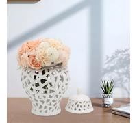 11 "Barattolo di zenzero bianco artigianato creativo per la decorazione con