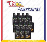 11 LITRI OLIO SELENIA WR PURE ENERGY 5W30 ACEA C2