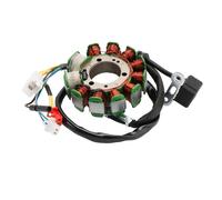 11 POLI STATORE VOLANO PER SYM 125 200 HD - HD EVO-JOYRIDE -EVO - 31120H9A001 DE