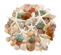 110+ Conchas de Mar Decoracion y Estrella de Mar Naturales Caracolas de Mar 3-10 cm Conchas Marinas Mixtas Decoración de Playa Decoracion Verano para Decoración de Peceras Velas Artesanías