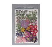 110 Pcs Plant - Based Dried Pressed Flowers Kit | 18 Types Real Botanical Specimens for Craft Art / Nail Art / Scrapbooking | Includes 2 Stickers for DIY Crafts
