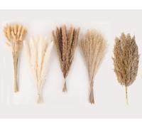 110 Pezzi Erba di Pampa Essiccata Erba di Pampa con Coda di Coniglio Bianca Fiori Secchi Fiori Artificiali Decorazione da Tavolo Boho, per Matrimoni, Camino, Casa, Cucina, Chiesa, Tavolo