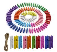 110 Pezzi Mini Mollette in Legno Colorato, Mollette in legno piccole, molletta per foto da appendere, per Decorazioni Fai da Te Scrapbooking Biglietti Regali Lavoretti Clip Appendi Creative