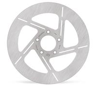 110758 DISCO FRENO FISSO SERIE CUSTOM HARLEY FLHR 1750 ABS ROAD KING 107 2021