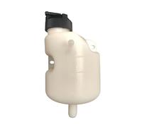 110BL072 1AY072 Vaschetta Liquido Raffreddamento Aixam Vision Sensation Emotion - Vaso di Espansione Originale/Compatibile