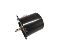 110V 220V Synchronous AC Gear electronic starter electronic starter Reducer Low Speed Metal Gear electronic starter NWPNLXEA(220v 30rpm)