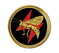 113 Squadron Iaf Israeliano Air Force Spilla