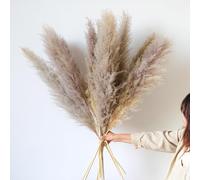 114cm Naturali Pampas Decorative 12 Pcs Erba Della Pampas Essiccata Decorative Erba di Pampa XXL per Soggiorno, Casa, Pavimento, Vaso, Decorazione Boemia（grigio）