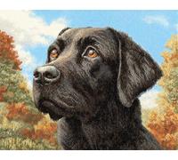 11CT Cane Animale Diy Kit Punto Croce Ritratto Di Labrador Retriever Kit Schemi Punto Croce Set Ricamo Stampato，Artigianato Ricamo Arte Per Arredamento Casa 80x100cm