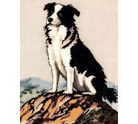11CT Cane Animale Diy Ricamo Punto Croce Set Border Collie E Paesaggio Kit Schemi Punto Croce Set Ricamo Stampato,Artigianato Ricamo Arte Per Arredamento Casa 40x50cm