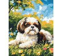 11CT Cane Animale Diy Ricamo Punto Croce Set Cartone Animato Shih Tzu Set Ricamo Prestampato Fai Da Te Ricamo A Mano Arte Timbrato Punto Croce Kit Per Principianti 40x50cm