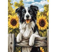 11CT Cane Animale Fai Da Te Fatto A Mano Cucito Kit Border Collie E Girasoli Kit Ricamo Punto Croce Timbrato Modello Set Di Avvio Ricamo Accessori Arte Decorazione Parete 50x70cm