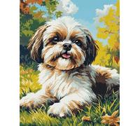11CT Cane Animale Fai Da Te Fatto A Mano Cucito Kit Shih Tzu Fantasy Kit Punto Croce Contato Per Adulti Principianti，Timbrato Modelli Stampati Set Ricamo Per Decorazione Arte Murale 30x40cm