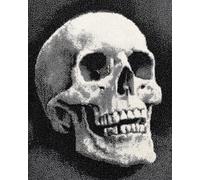 11CT Stampato Facile Modelli Ricamo Per Artigianato Teschi Bianchi E Neri Kit Punto Croce Contato Per Adulti Principianti, Timbrato Modelli Stampati Set Ricamo Per Decorazione Arte Mural 30x40cm