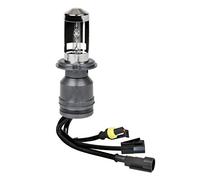 12/24V Lampadina HID Xenon 5.000K - H4 - 1 pz - Scatola