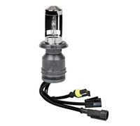 12/24V Lampadina HID Xenon 5.000K - H4 - 1 pz - Scatola