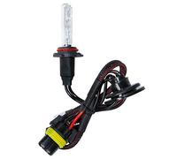 12/24V Lampadina HID Xenon 6.000K - H10 - 1 pz - Scatola