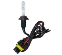 12/24V Lampadina HID Xenon 6.000K - H10 - 1 pz - Scatola