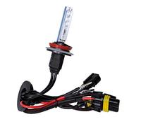 12/24V Lampadina HID Xenon 6.000K - H9 - 1 pz - Scatola