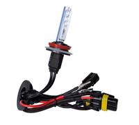 12/24V Lampadina HID Xenon 6.000K - H9 - 1 pz - Scatola