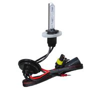 12/24V Lampadina HID Xenon 8.000K - H1 - 1 pz - Scatola